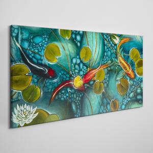 Tablou canvas Pește Koi Flori Natura