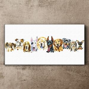 Tablou canvas Animale moderne câini