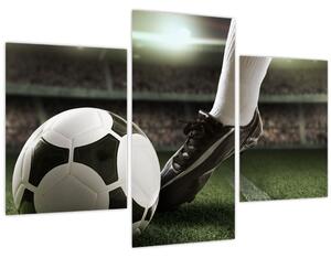 Tablou - Minge de fotbal (90x60 cm)