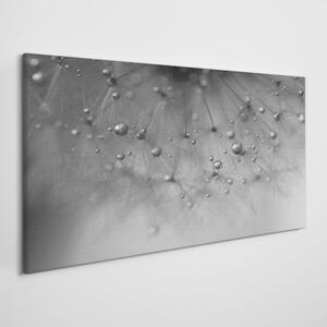 Tablou canvas Apa de păpădie abstractă