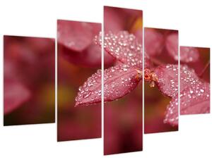 Tablou - Imagine macro a biletului (150x105 cm)