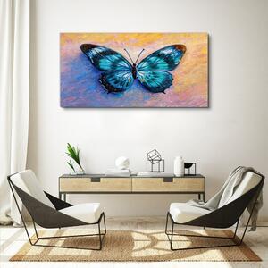 Tablou canvas fluture insectă colorat