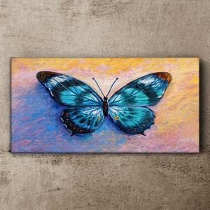 Tablou canvas fluture insectă colorat