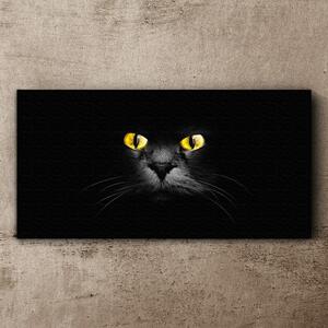 Tablou canvas animale ochi pisici