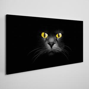 Tablou canvas animale ochi pisici