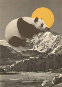 Bodart, Florent - Artă imprimată Panda's Nap into Mountains, (30 x 40 cm)
