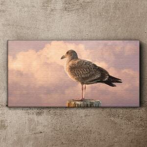 Tablou canvas Animal pasăre Pescăruș cer