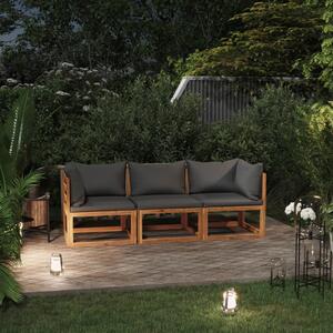 Canapea de grădină 3 locuri cu perne, lemn masiv acacia