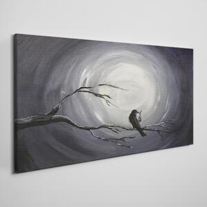 Tablou canvas Abstract Night Animal Bird