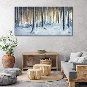 Tablou canvas Abstract Winter Dreaming Natura