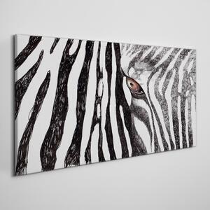 Tablou canvas dungi de zebră de animale