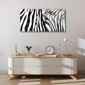 Tablou canvas dungi de zebră de animale