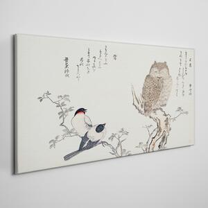 Tablou canvas Ramura Animale Păsări Bufniță