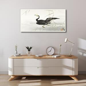 Tablou canvas Asia Lake Animal Bird