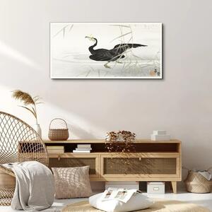 Tablou canvas Asia Lake Animal Bird