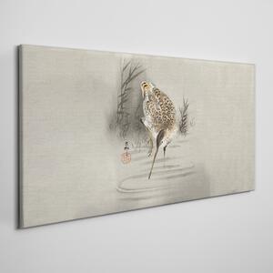 Tablou canvas Apa de păsări animale