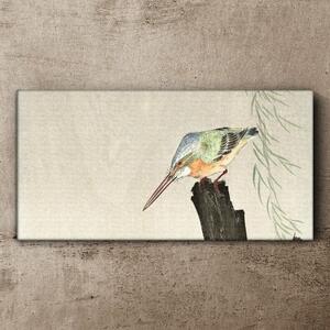 Tablou canvas Animale Păsări Kingfisher