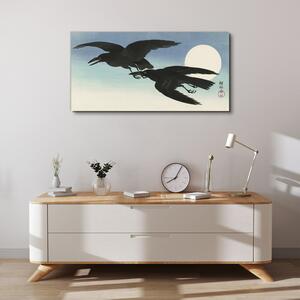 Tablou canvas Animal Bird Corws Sky