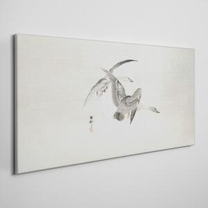 Tablou canvas Animale Păsări Gâște Cer