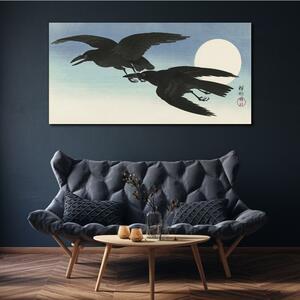 Tablou canvas Animal Bird Corws Sky