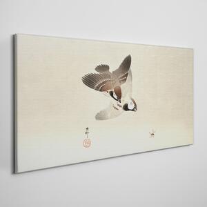 Tablou canvas Animale Păsări Vrăbii