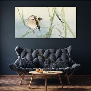 Tablou canvas Animal Păsări Vrabie