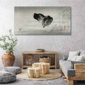 Tablou canvas Animale Păsări Apă