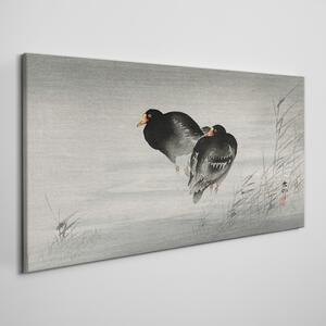 Tablou canvas Animale Păsări Apă