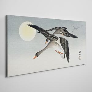 Tablou canvas Animale Păsări Cer Soare