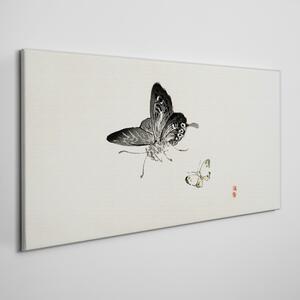 Tablou canvas Fluture insectă modern