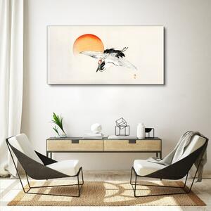 Tablou canvas Animal Pasăre Soare