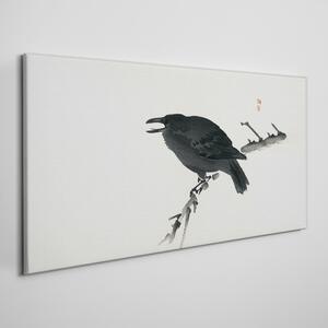 Tablou canvas Pasăre corb