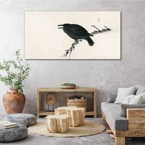 Tablou canvas Pasăre corb