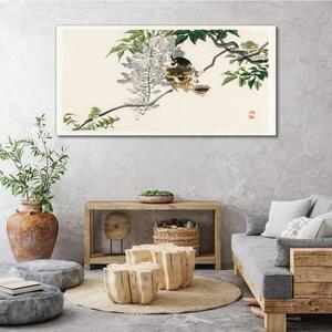 Tablou canvas Ramuri de păsări animale