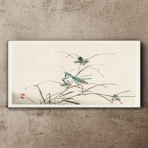 Tablou canvas Ramuri asiatice de insecte