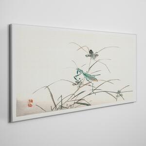 Tablou canvas Ramuri asiatice de insecte