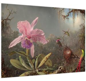 Tablou pe sticlă - Martin Johnson Heade, Cattleya Orchid and Three Hummingbirds, reproducere (70x50 cm)