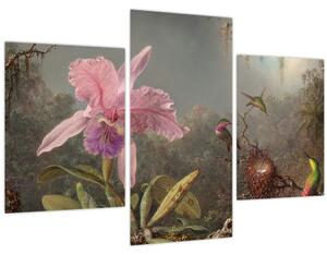 Tablou - Martin Johnson Heade, Cattleya Orchid and Three Hummingbirds, reproducere (90x60 cm)