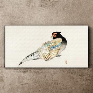 Tablou canvas Pasăre animală