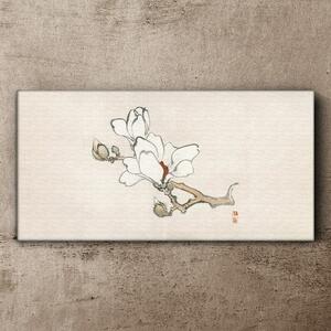 Tablou canvas Flori de ramură