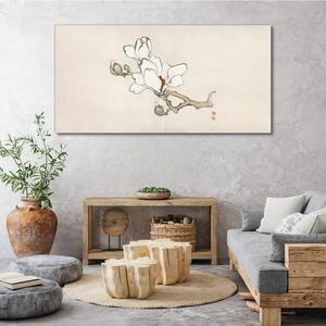 Tablou canvas Flori de ramură
