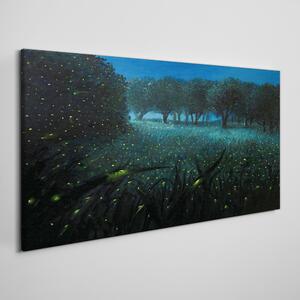 Tablou canvas licuricii de noapte de pădure