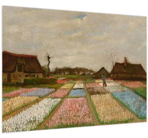 Tablou - Vincent van Gogh, Flower Beds in Holland, reproducere (70x50 cm)