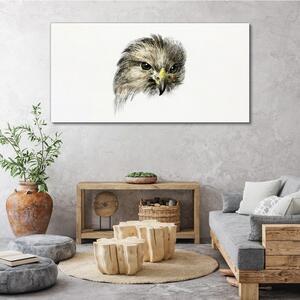 Tablou canvas desen de animale păsări