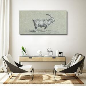 Tablou canvas Animal capră modern