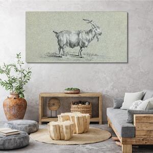 Tablou canvas Animal capră modern