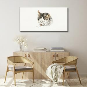 Tablou canvas Desen Animal Cat
