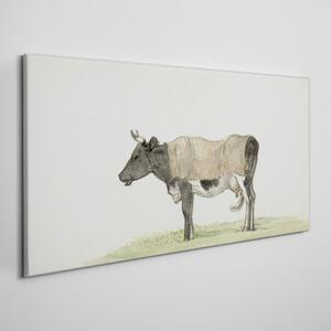 Tablou canvas Animal vacă