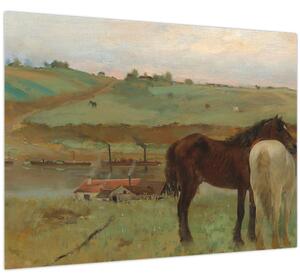 Tablou - Edgar Degas, Horses in a Meadow, reproducere (70x50 cm)