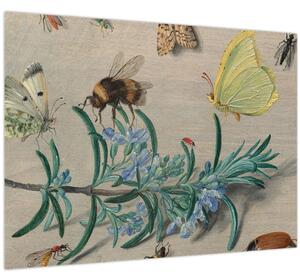 Tablou - Jan van Kessel the Elder, Insects and a Sprig of Rosemary, reproducere (70x50 cm)